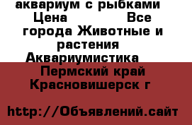 аквариум с рыбками › Цена ­ 15 000 - Все города Животные и растения » Аквариумистика   . Пермский край,Красновишерск г.